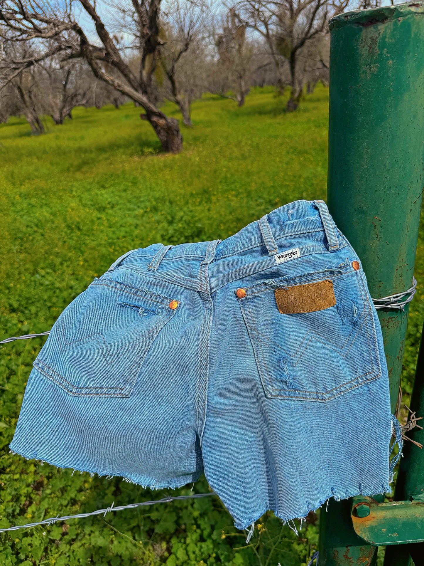 Wrangler Wrock Distressed Shorts