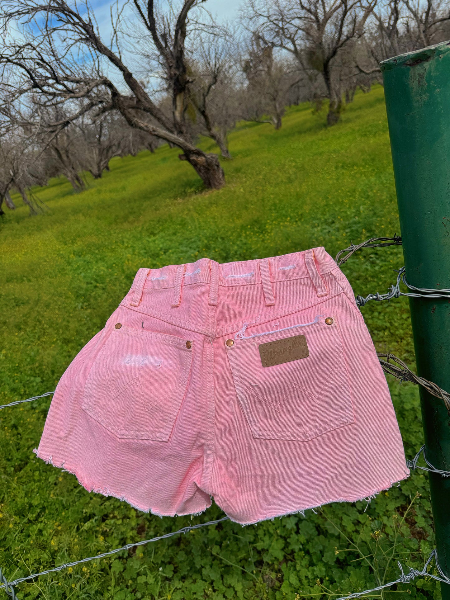 Pink Cowboy Cut Wranglers