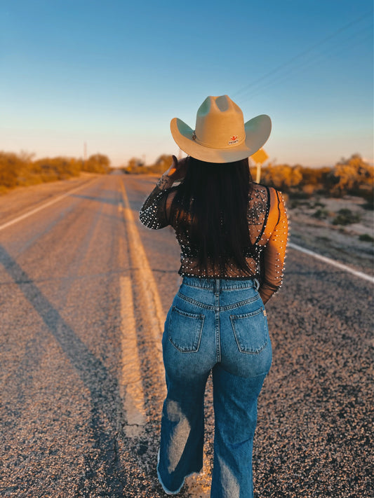 Long Sleeve Sheer Mesh Crop Top